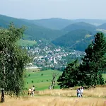 M Am Kurpark**** Inkl. Meinecard+ Appartement Willingen (Upland)